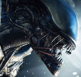 Un sequel de Alien Covenant serait en cours d’écriture,qui devrait etre dirigé par Ridley Scott