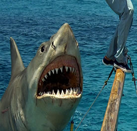 Le requin des Dents de la mer entièrement restauré pour le musée de l’Académie du cinéma