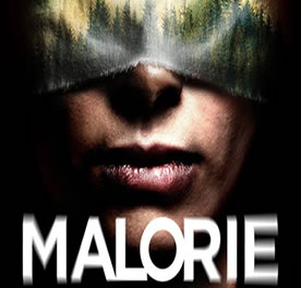 Josh Malerman confirme qu’une suite de ‘Bird Box’ intitulée ‘Malorie’ est en cours de développement