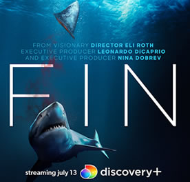 ‘FIN’ : le documentaire engagé sur la protection des requins réalisé par Eli Roth & Leonardo DiCaprio