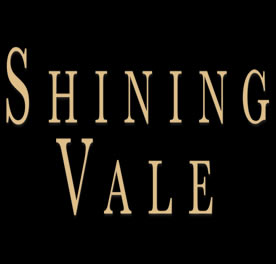 Critique de film : Shining Vale (2023)-(série saison 1)<span class='yasr-stars-title-average'><div class='yasr-stars-title yasr-rater-stars'
id='yasr-overall-rating-rater-ba62f6077f6c9'
data-rating='2.5'
data-rater-starsize='16'>
</div></span>